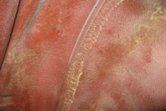 Ford-Mustang-1967-_-289cui-Coupe-23