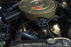 Ford-Mustang-V8-1965-Motor-2